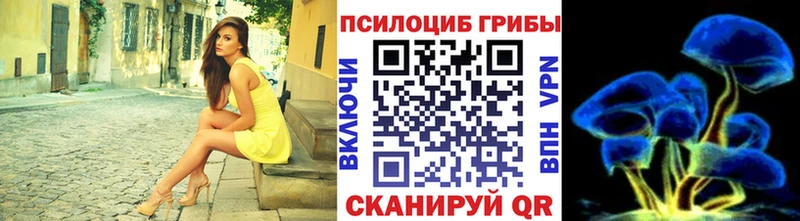 магазин продажи   Старый Крым  Псилоцибиновые грибы Psilocybe 
